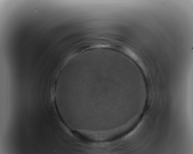 X0000088401377200705291420