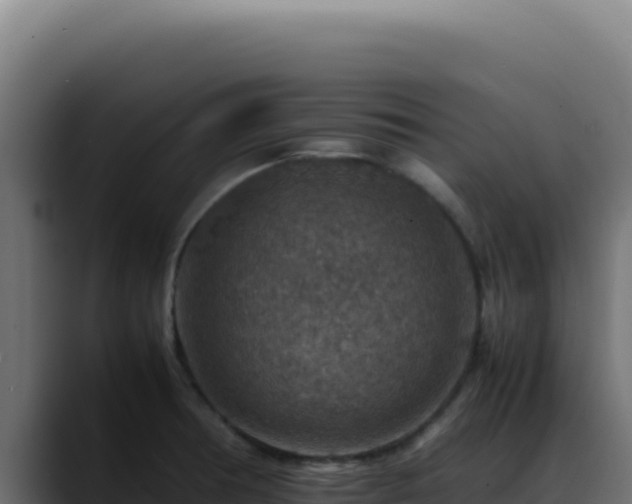 X0000088401378200705291420