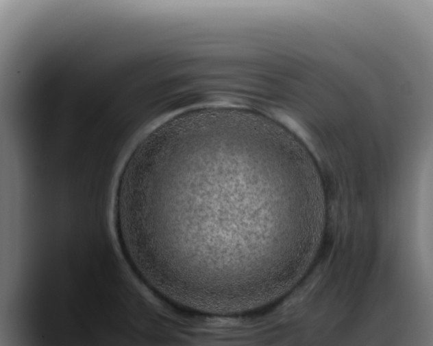 X0000088401379200705291420