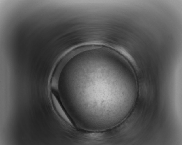 X0000088401380200705291420