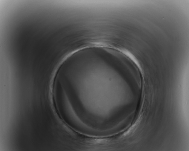 X0000088401381200705291420