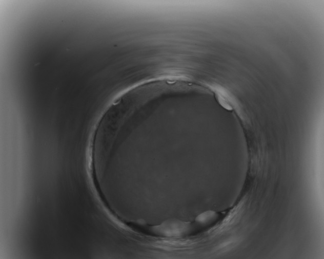 X0000088401383200705291420