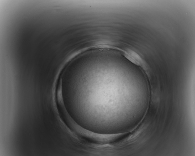 X0000088401384200705291420