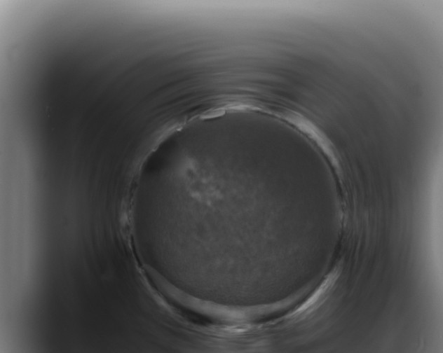 X0000088401385200705291420