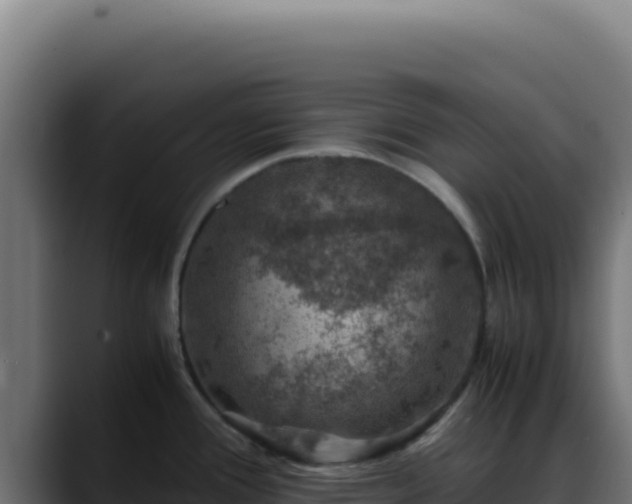 X0000088401388200705291420