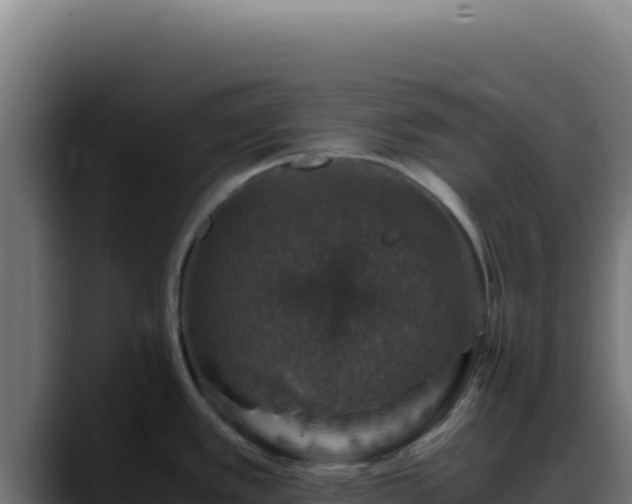 X0000088401389200705291420