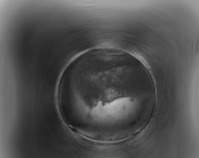 X0000088401392200705291420