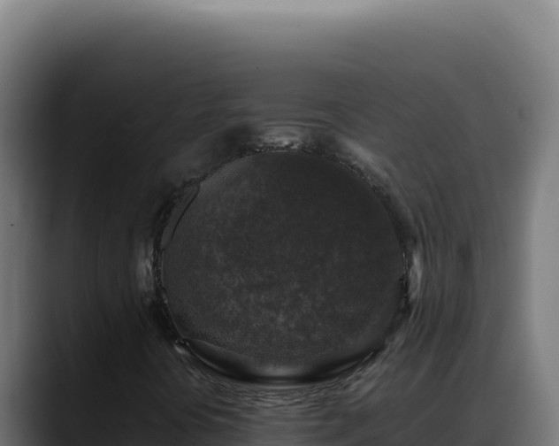 X0000088401394200705291419