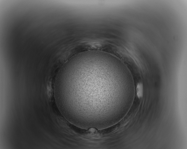 X0000088401395200705291419