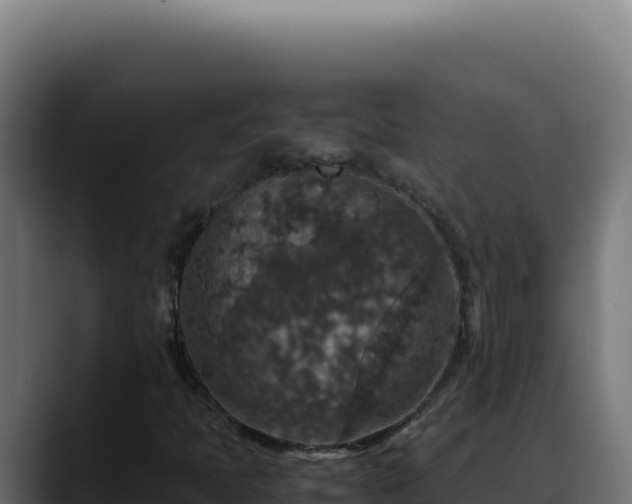 X0000088401397200705291419