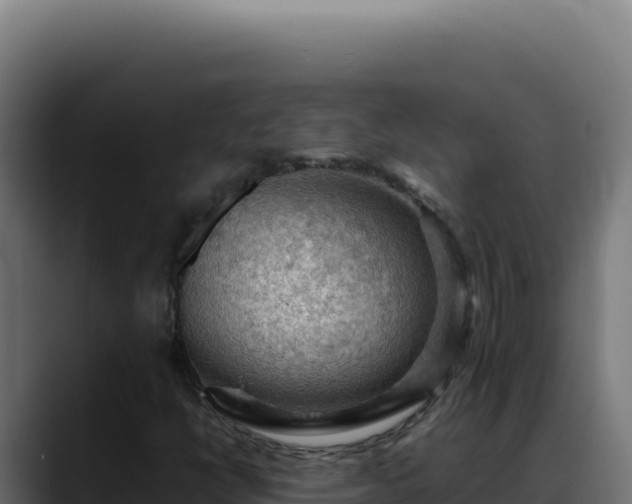 X0000088401398200705291419