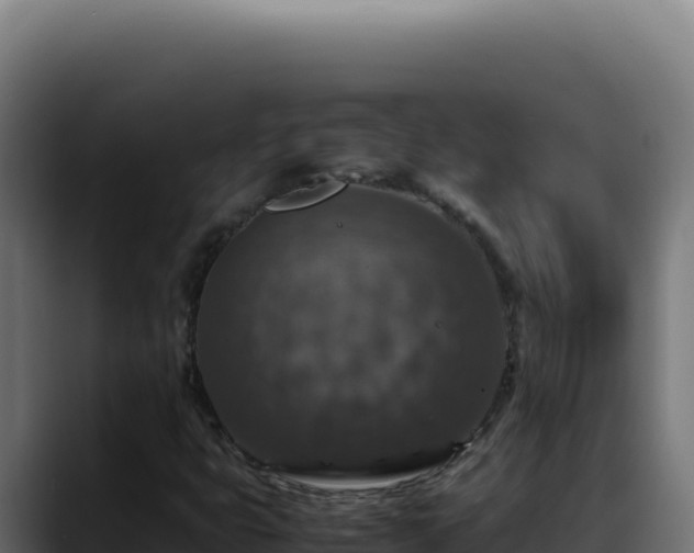 X0000088401399200705291419