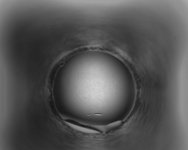 X0000088401400200705291419