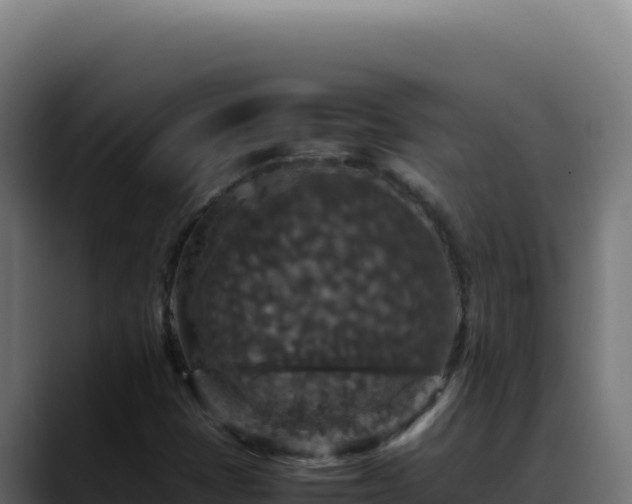 X0000088401401200705291419