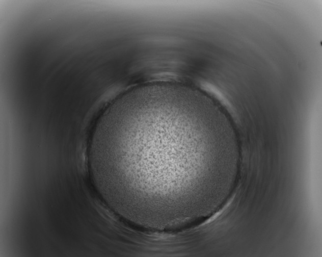 X0000088401403200705291419