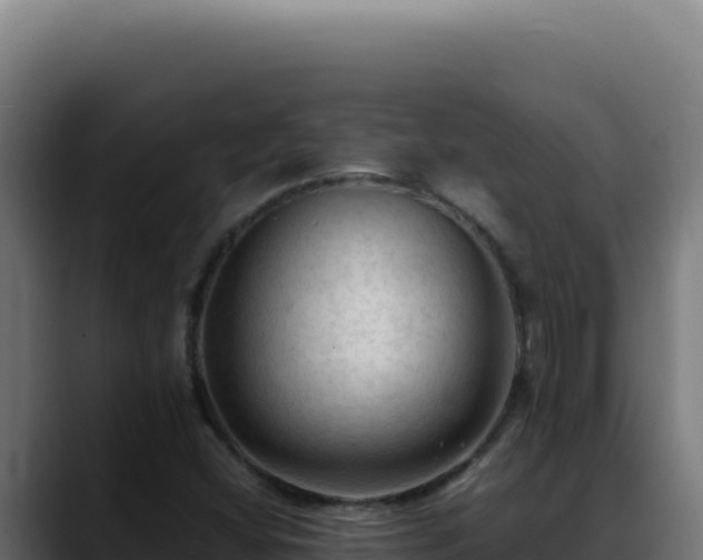 X0000088401404200705291419