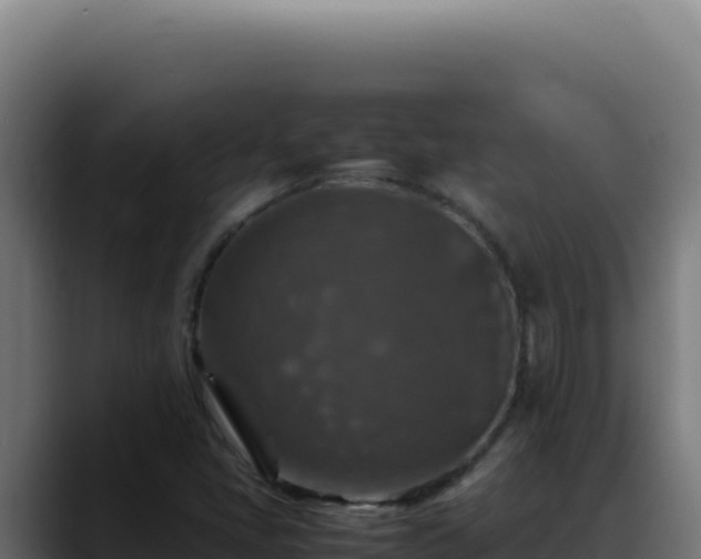 X0000088401405200705291419