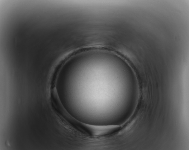 X0000088401406200705291419