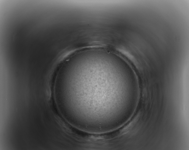 X0000088401407200705291419