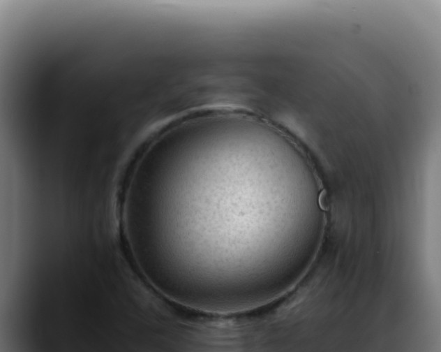 X0000088401408200705291419