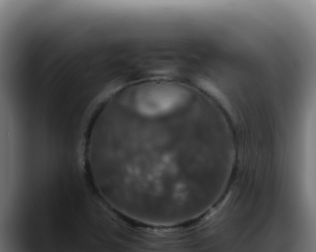 X0000088401411200705291419