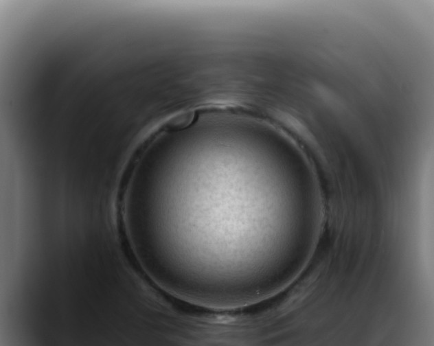 X0000088401412200705291419