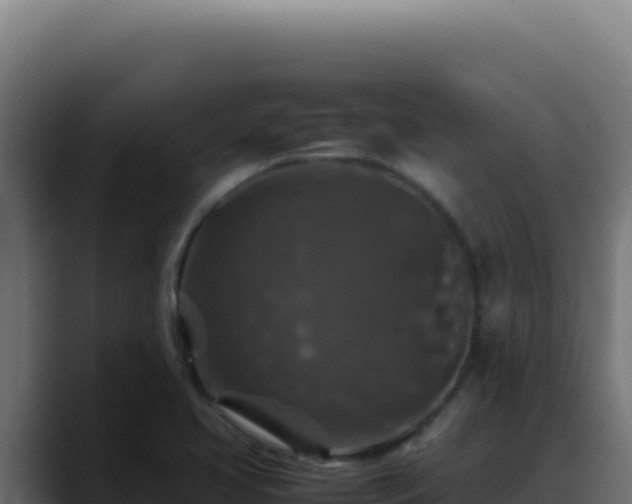 X0000088401413200705291419