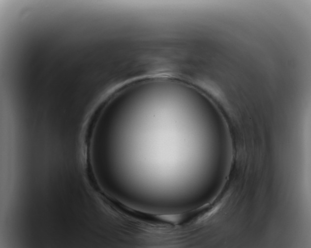 X0000088401414200705291419