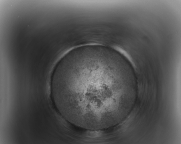 X0000088401415200705291419