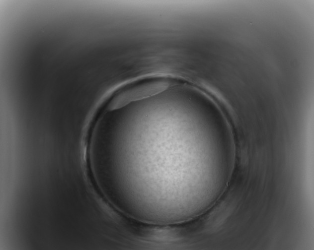 X0000088401416200705291419