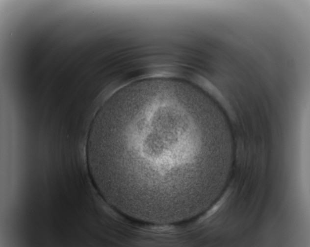 X0000088401417200705291419