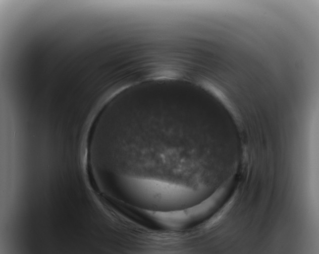 X0000088401418200705291419