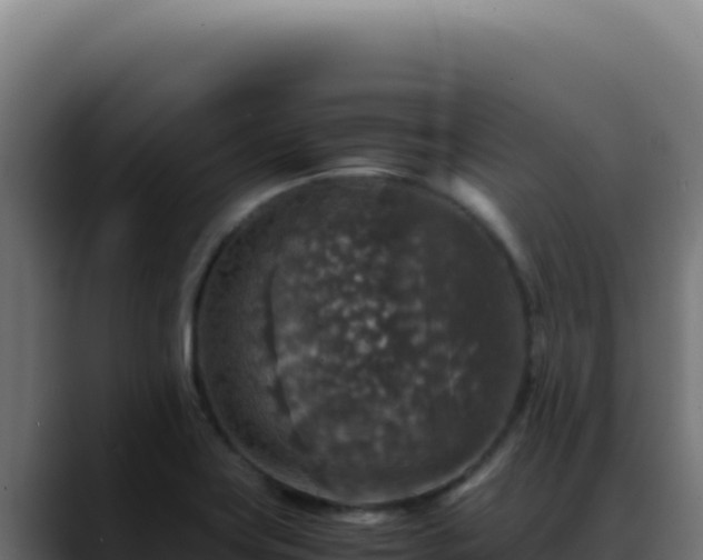 X0000088401419200705291419