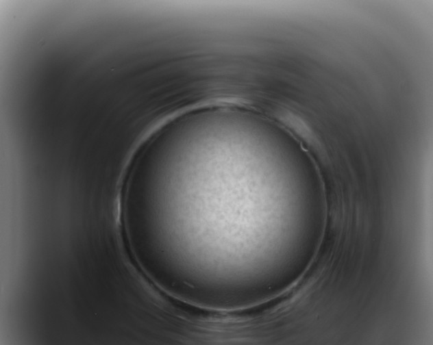 X0000088401420200705291419