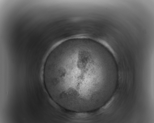 X0000088401421200705291419