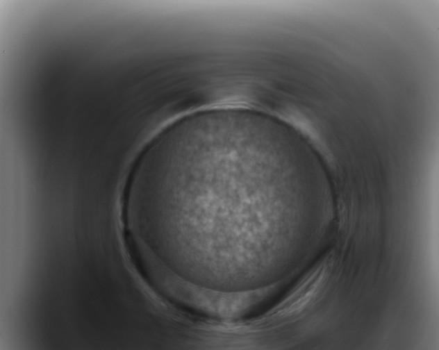 X0000088401422200705291419