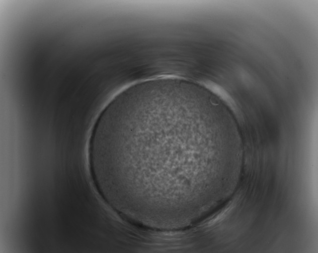 X0000088401423200705291419