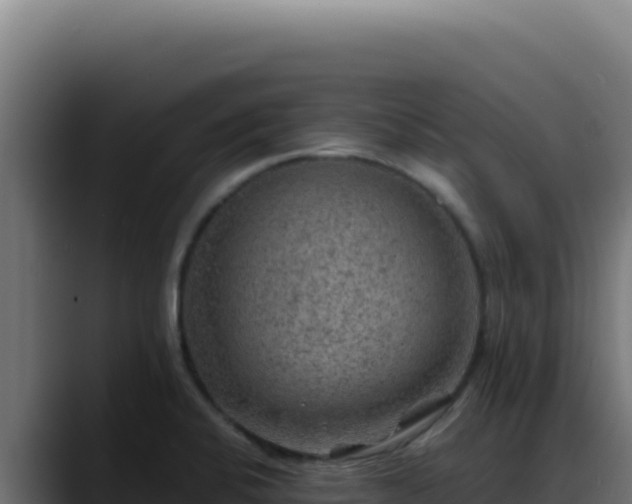 X0000088401424200705291419