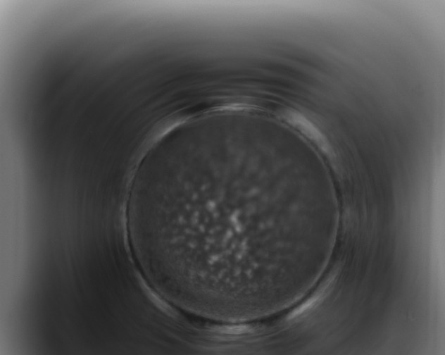 X0000088401425200705291419