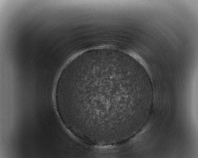 X0000088401429200705291420