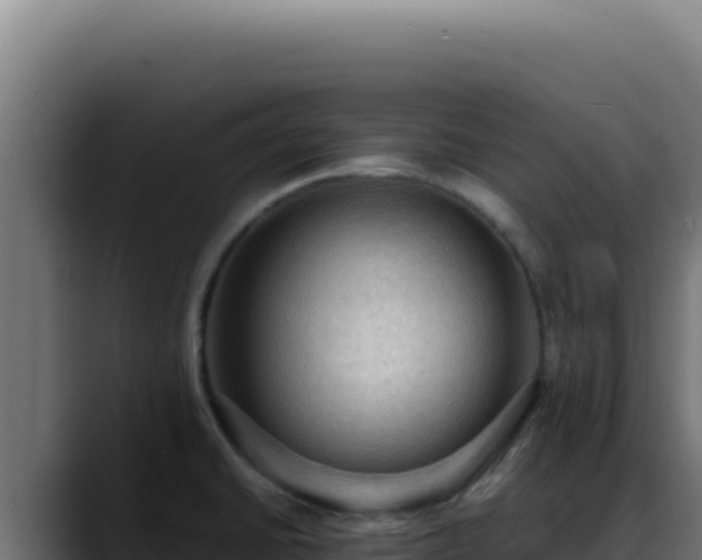 X0000088401430200705291420