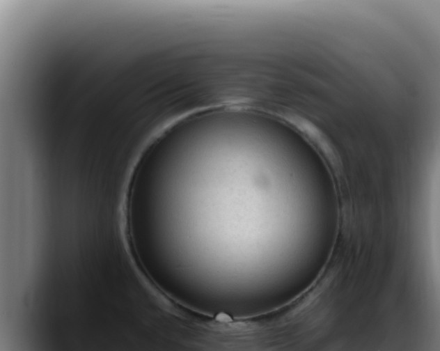 X0000088401432200705291420