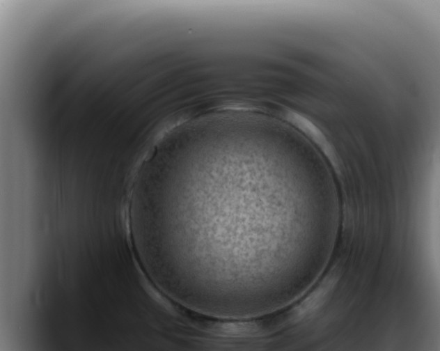 X0000088401433200705291420