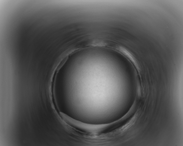 X0000088401434200705291420