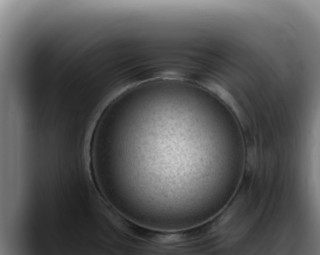 X0000088401435200705291420