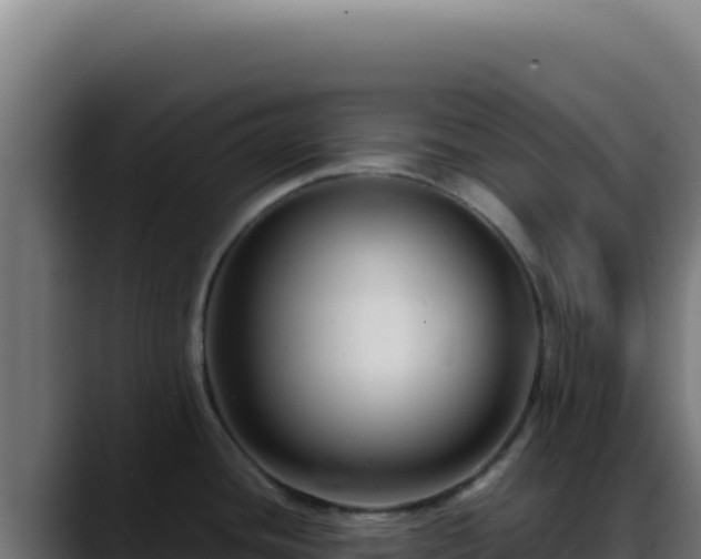 X0000088401436200705291420