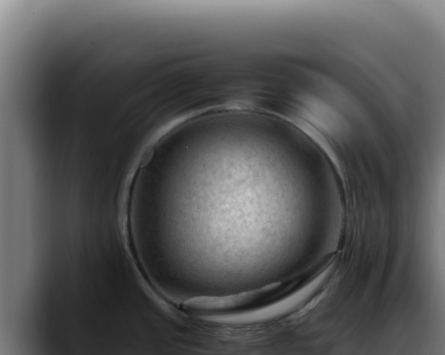 X0000088401437200705291420