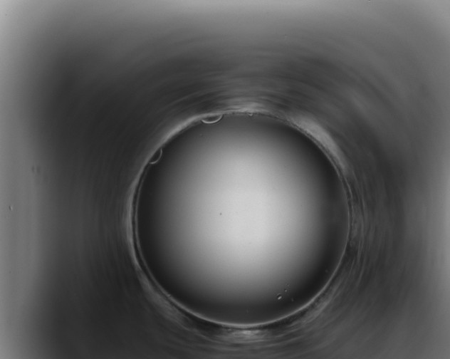 X0000088401439200705291420