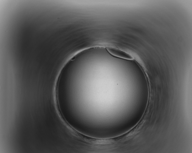 X0000088401440200705291420