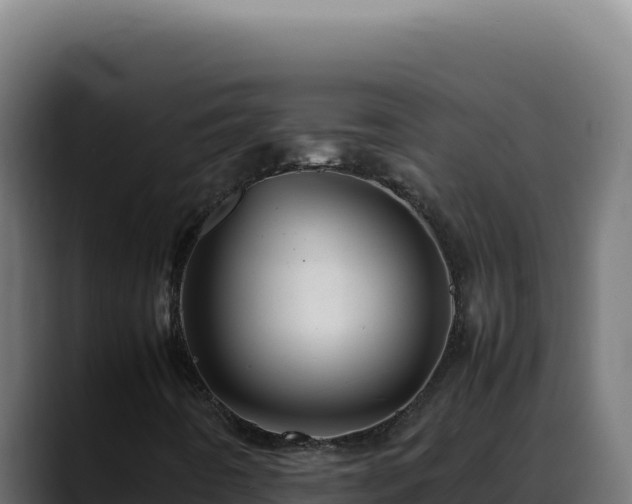 X0000088401442200705291419